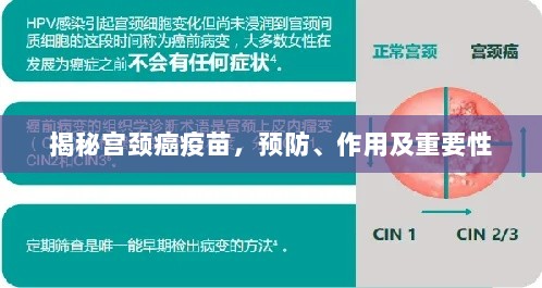 揭秘宫颈癌疫苗，预防、作用及重要性