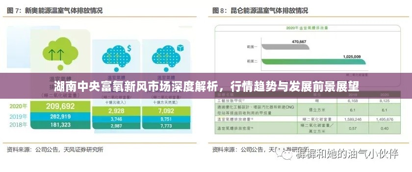 湖南中央富氧新风市场深度解析，行情趋势与发展前景展望