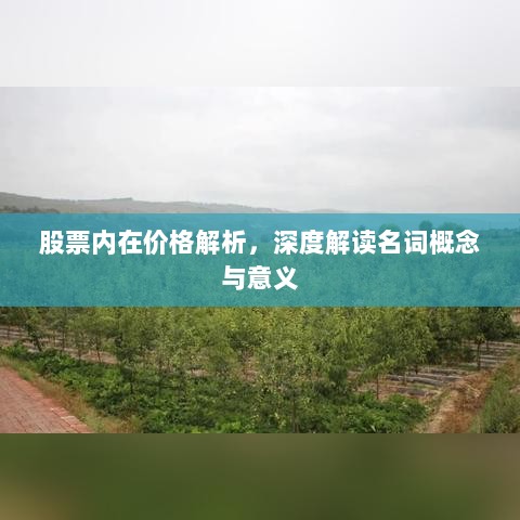 股票内在价格解析，深度解读名词概念与意义