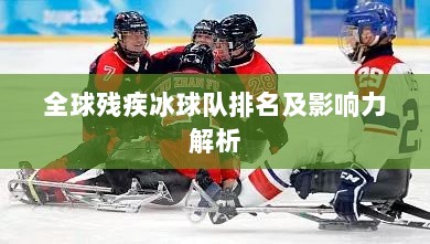 全球残疾冰球队排名及影响力解析