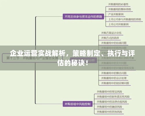 企业运营实战解析，策略制定、执行与评估的秘诀！