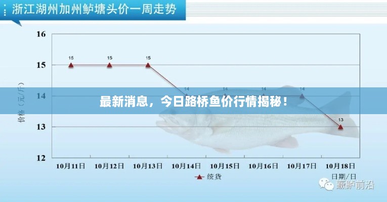 最新消息，今日路桥鱼价行情揭秘！