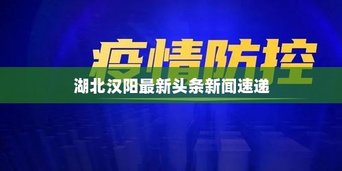 湖北汉阳最新头条新闻速递