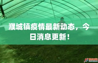 濮城镇疫情最新动态，今日消息更新！