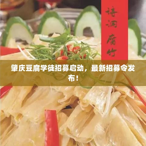 肇庆豆腐学徒招募启动，最新招募令发布！