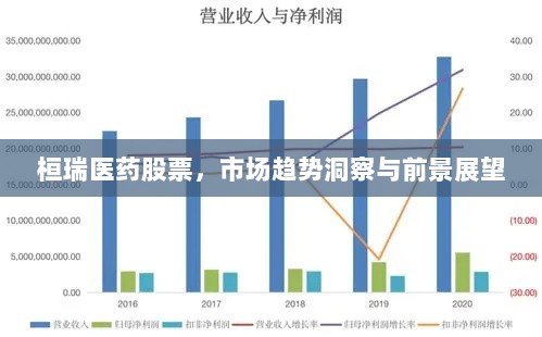 桓瑞医药股票，市场趋势洞察与前景展望