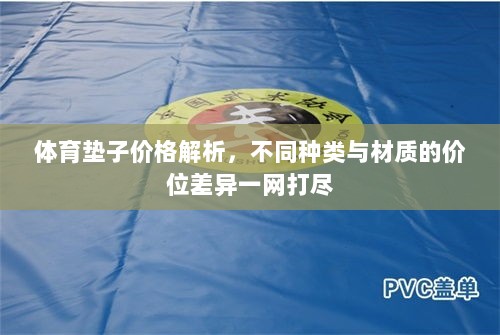 体育垫子价格解析，不同种类与材质的价位差异一网打尽