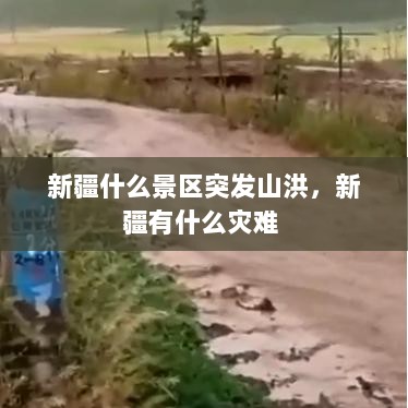 新疆什么景区突发山洪，新疆有什么灾难 