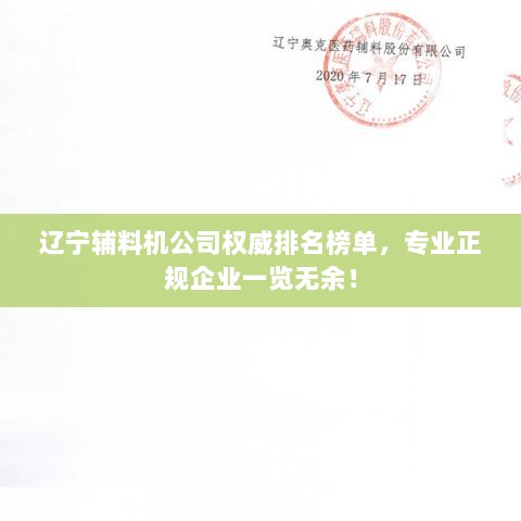 辽宁辅料机公司权威排名榜单，专业正规企业一览无余！