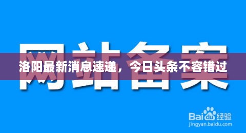 洛阳最新消息速递，今日头条不容错过