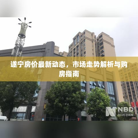 遂宁房价最新动态，市场走势解析与购房指南