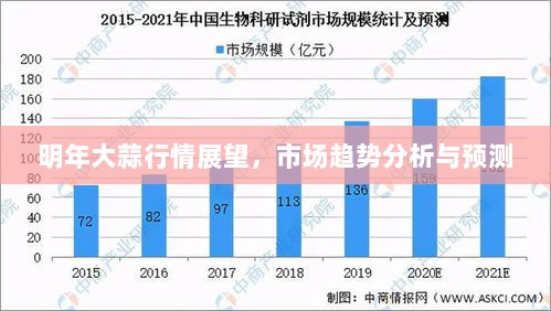 明年大蒜行情展望，市场趋势分析与预测