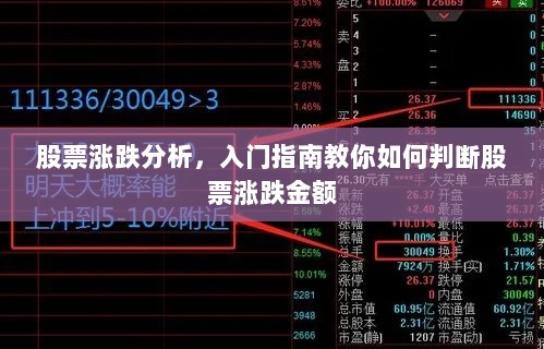 股票涨跌分析，入门指南教你如何判断股票涨跌金额