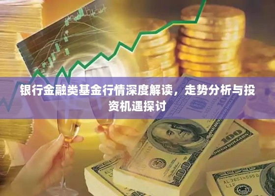 银行金融类基金行情深度解读，走势分析与投资机遇探讨