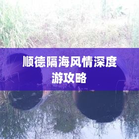 顺德隔海风情深度游攻略