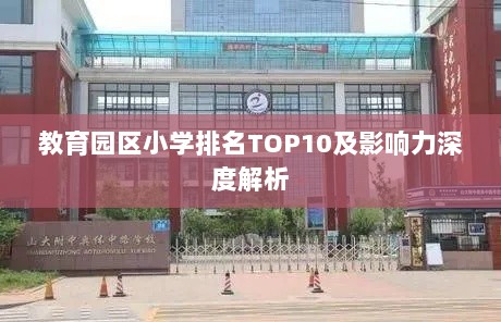 教育园区小学排名TOP10及影响力深度解析