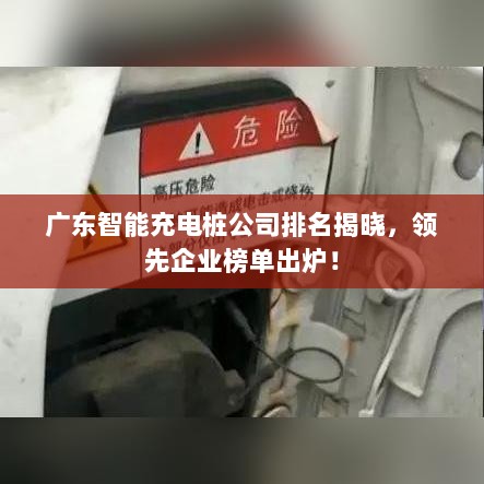 广东智能充电桩公司排名揭晓，领先企业榜单出炉！