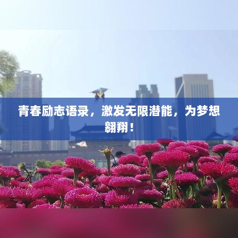 青春励志语录，激发无限潜能，为梦想翱翔！