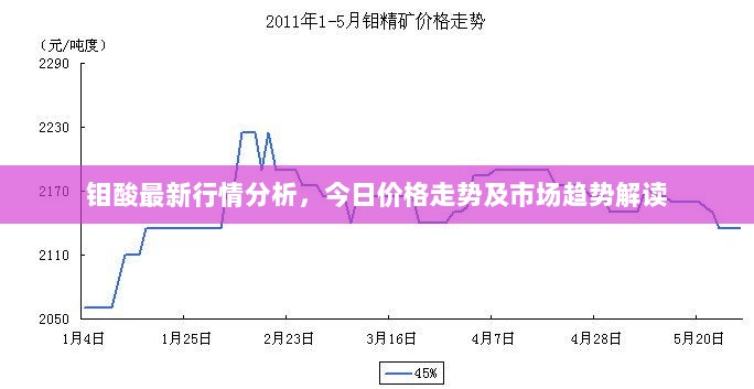 钼酸最新行情分析，今日价格走势及市场趋势解读