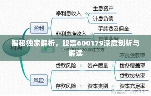 揭秘独家解析，股票600179深度剖析与解读