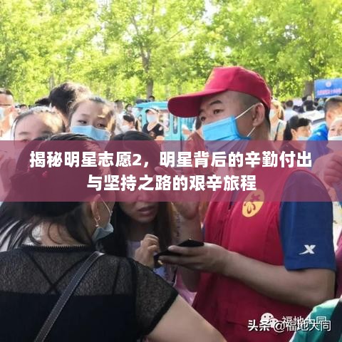 揭秘明星志愿2，明星背后的辛勤付出与坚持之路的艰辛旅程