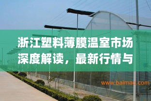 浙江塑料薄膜温室市场深度解读，最新行情与发展趋势分析