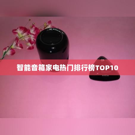 智能音箱家电热门排行榜TOP10