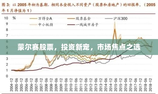 蒙尔赛股票，投资新宠，市场焦点之选