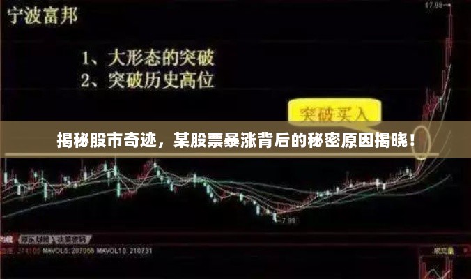 揭秘股市奇迹，某股票暴涨背后的秘密原因揭晓！