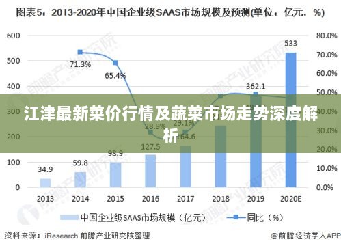 江津最新菜价行情及蔬菜市场走势深度解析