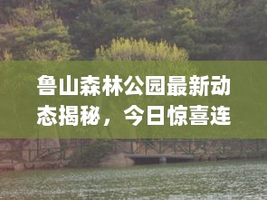 鲁山森林公园最新动态揭秘，今日惊喜连连！