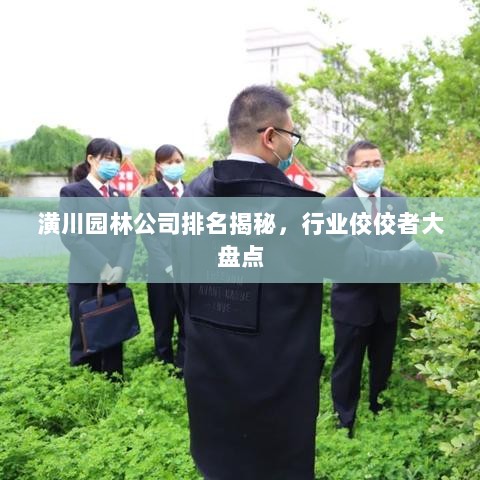 潢川园林公司排名揭秘，行业佼佼者大盘点