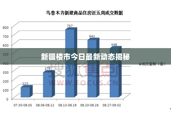 新疆楼市今日最新动态揭秘