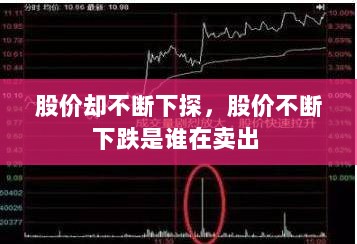 股价却不断下探，股价不断下跌是谁在卖出 