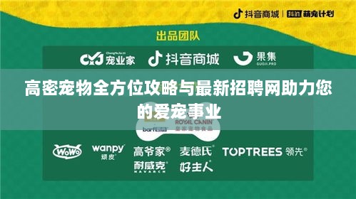 高密宠物全方位攻略与最新招聘网助力您的爱宠事业