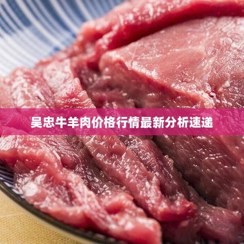 吴忠牛羊肉价格行情最新分析速递