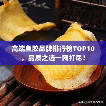 高端鱼胶品牌排行榜TOP10，品质之选一网打尽！