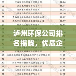 泸州环保公司排名揭晓，优质企业榜单，不容错过！