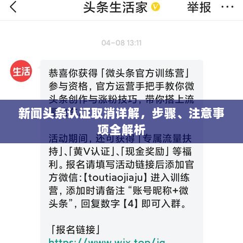 新闻头条认证取消详解，步骤、注意事项全解析