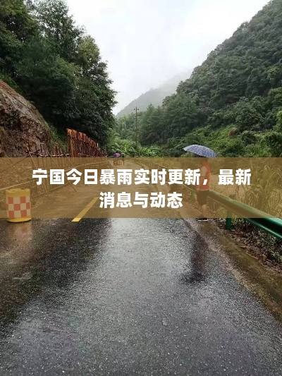 宁国今日暴雨实时更新，最新消息与动态