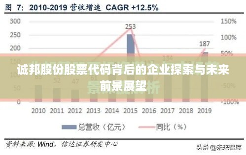 诚邦股份股票代码背后的企业探索与未来前景展望