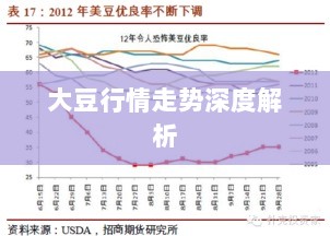 大豆行情走势深度解析