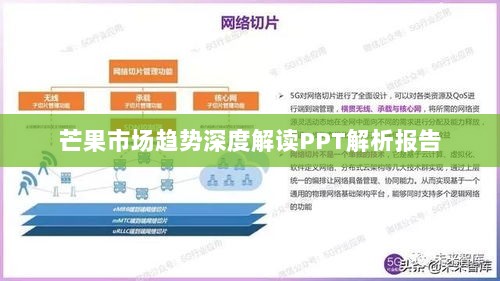 芒果市场趋势深度解读PPT解析报告