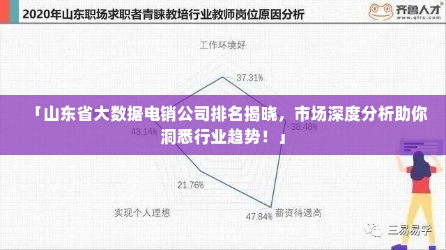 「山东省大数据电销公司排名揭晓，市场深度分析助你洞悉行业趋势！」