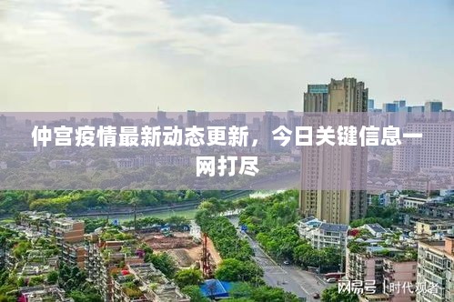 仲宫疫情最新动态更新，今日关键信息一网打尽