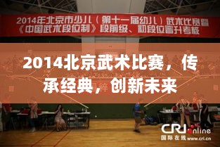 2014北京武术比赛，传承经典，创新未来