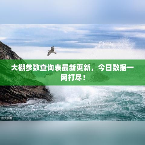 大棚参数查询表最新更新，今日数据一网打尽！