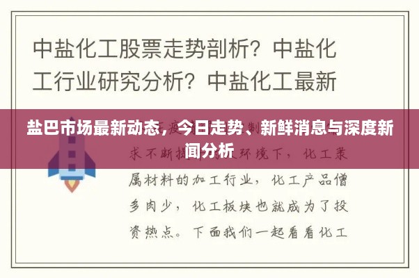 盐巴市场最新动态，今日走势、新鲜消息与深度新闻分析