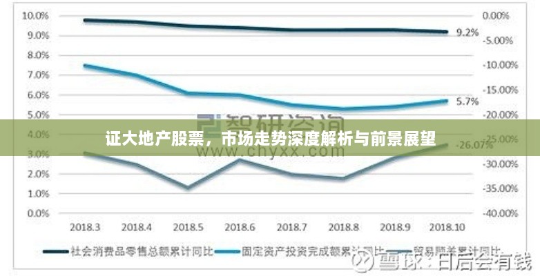 证大地产股票，市场走势深度解析与前景展望