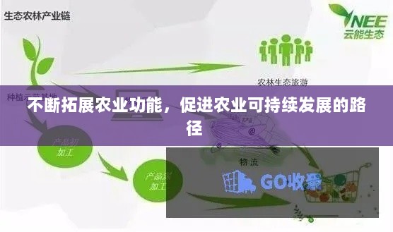 不断拓展农业功能，促进农业可持续发展的路径 